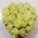 Astonishing flowers in the form of heart - view 1