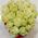 Astonishing flowers in the form of heart - view 3