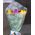 11 tulips - view 12