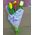 11 tulips - view 13