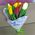 11 tulips - view 14