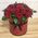 25 roses in a hat box - view 1