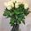 31 white rose - view 1