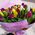 51 tulip - view 3
