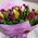 51 tulip - view 4