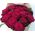 Beautiful bouquet of scarlet roses - view 2