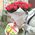 Bouquet of 55 red roses - view 1