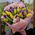 Bouquet of irises and tulips - view 3