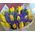 Bouquet of irises and tulips - view 9