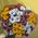 Bouquet of chamomile chrysanthemum - view 6