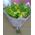 Bouquet of green orchids cimbidium - view 14