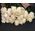 Bouquet of roses Mondial - view 3