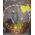 Fruit gift basket - view 16