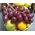 Fruit and wine in the basket - view 8