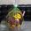 Fruit and wine in the basket - view 9