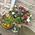 Fruits in a gift basket - view 9