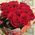 Imported roses with large buds - view 7