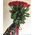 Imported roses with large buds - view 8