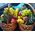 Basket with exotic fruits - view 10