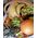Basket with exotic fruits - view 11