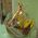 Basket with exotic fruits - view 2