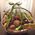 Basket with exotic fruits - view 3