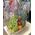 Basket with exotic fruits - view 5