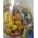 Basket with exotic fruits - view 9