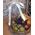 Basket with fruits buy - view 10