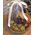 Basket with fruits buy - view 11