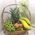 Basket with fruits buy - view 13