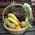 Basket with fruits buy - view 19