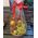 Fruit basket gift - view 12