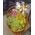 Fruit basket gift - view 6