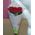 A small bouquet of imported roses - view 1
