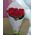 A small bouquet of imported roses - view 3