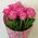 Delicate bouquet of pink roses - view 3