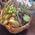 Huge fruit basket - view 6