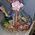 Basket of products of gift - view 3
