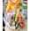 Basket of products of gift - view 5