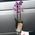 Pink orchid in a pot - view 25