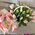 Tulips in the basket - view 1. Number of flowers 31 tulip