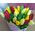Spring flowers tulips - view 8