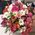 Live flowers in a box - view 11