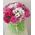 Live flowers in a box - view 7