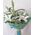 Bouquet 1 lily - view 6