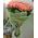 Bouquet of 101 roses - view 1