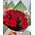 Bouquet of 11 roses - view 7