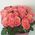 Bouquet of 21 roses - view 2