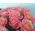 Bouquet of 21 roses - view 3